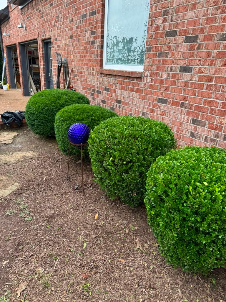 Bush trimming and shaping